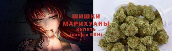 молекула духа Верхний Тагил